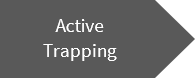 Active Trapping
